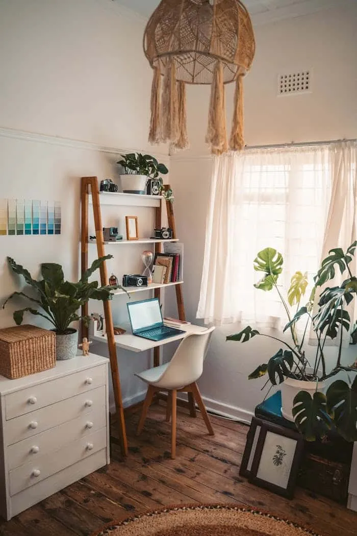 Coin bureau lumineux avec plantes vertes, étagère et ordinateur portable.